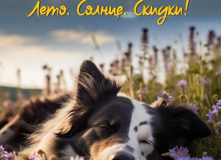 Лето! Солнце! Скидки в «Доктор Вет»!